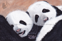 Brievenbuskunst pandakindjes